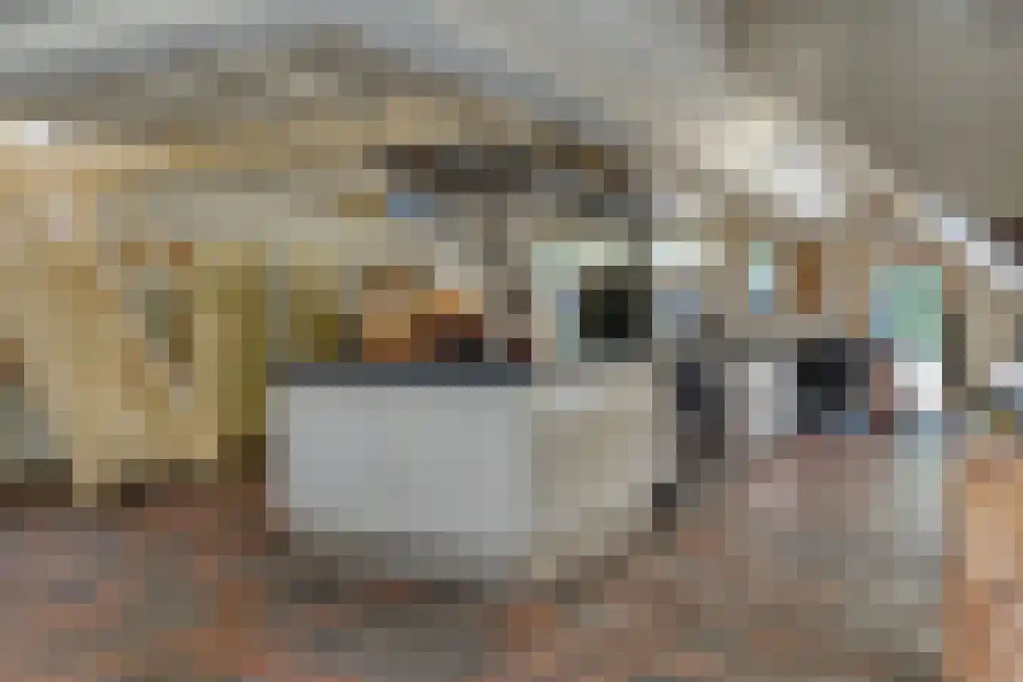 Mennistensteeg 6 Dalfsen thumbnail 6
