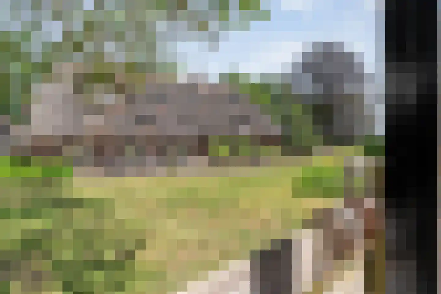 Mennistensteeg 6 Dalfsen thumbnail 61
