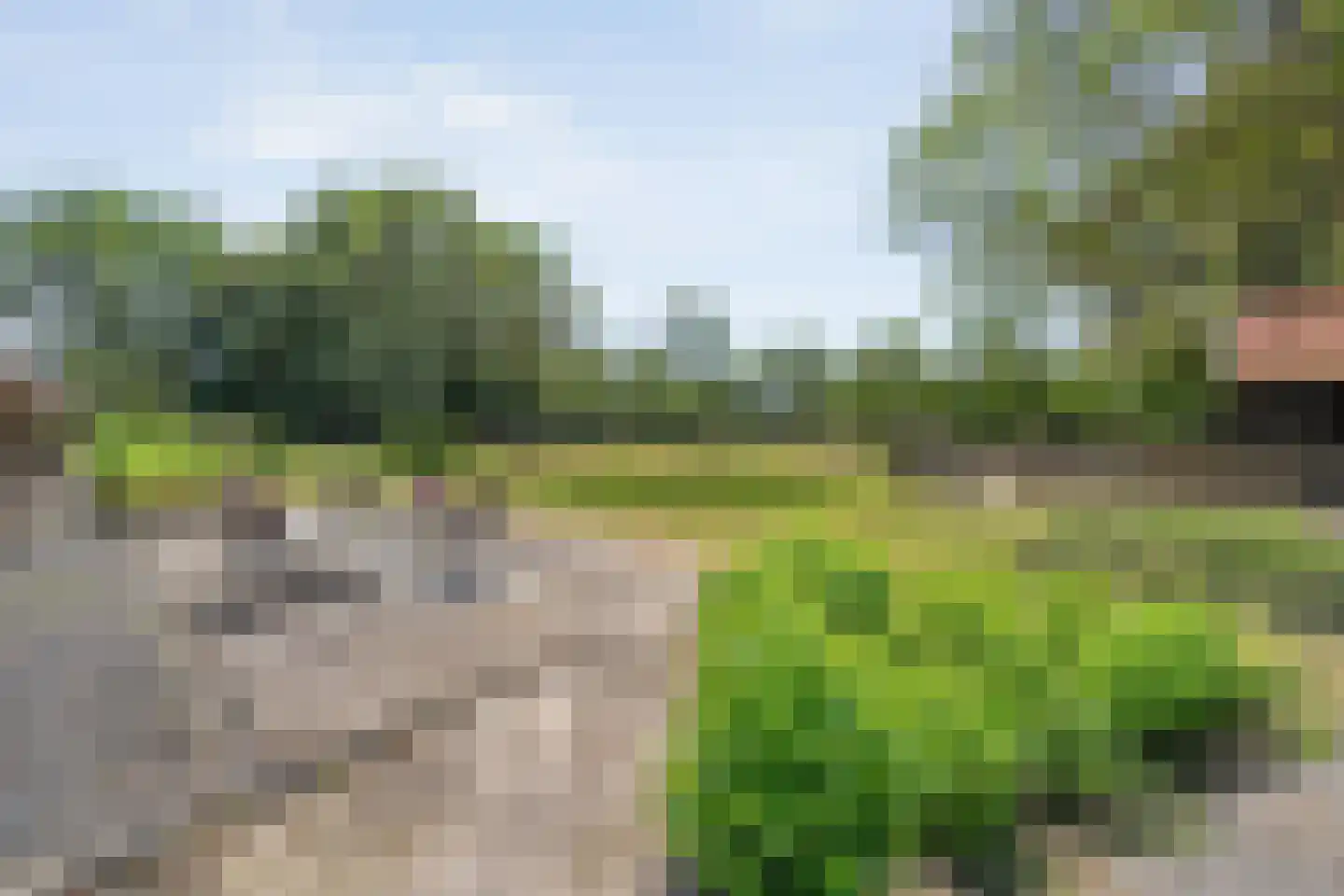 Mennistensteeg 6 Dalfsen thumbnail 62