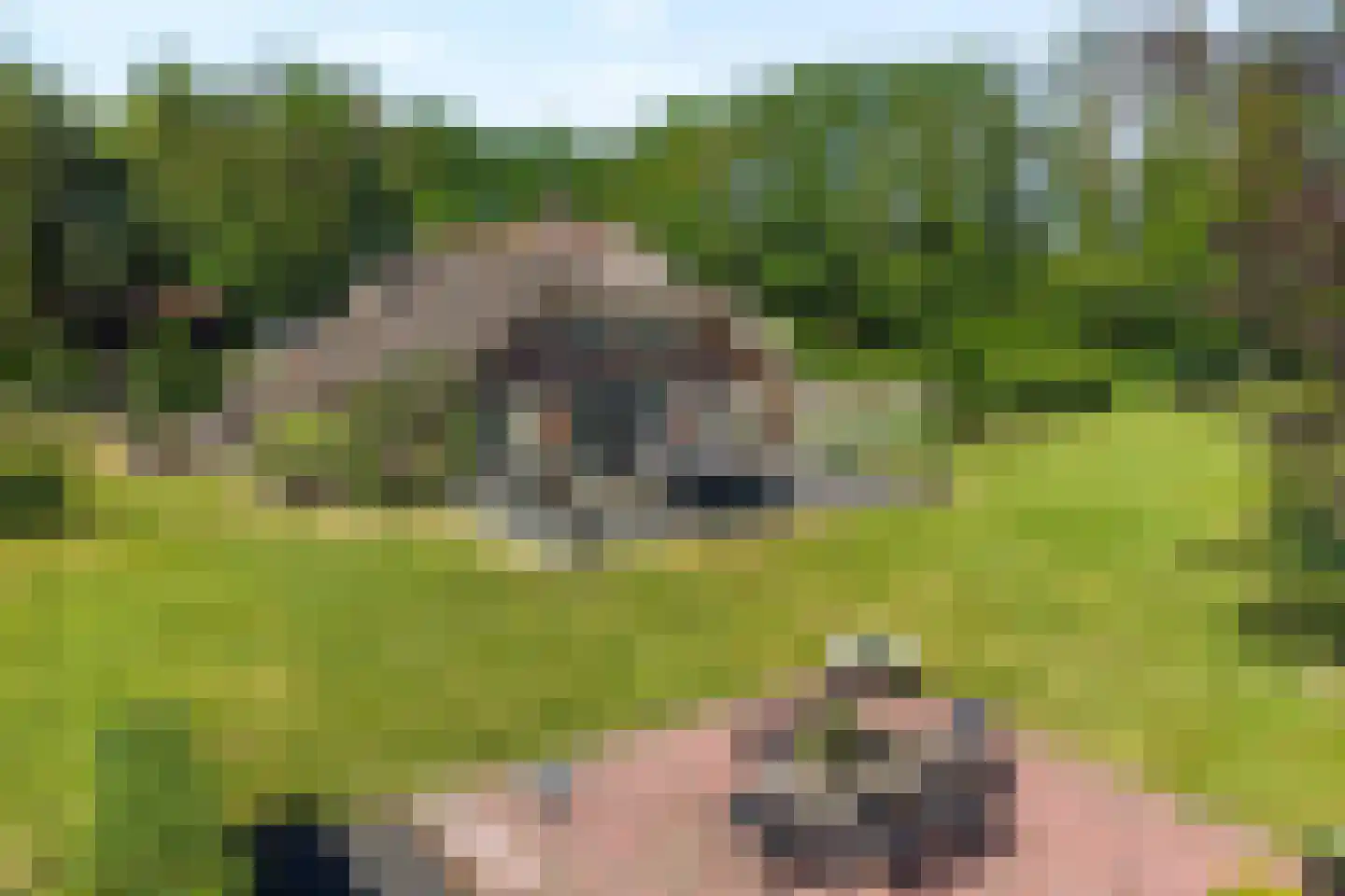 Mennistensteeg 6 Dalfsen thumbnail 64