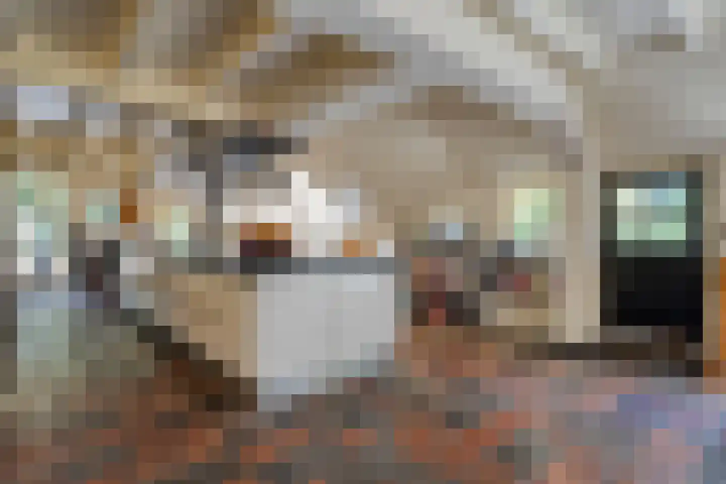 Mennistensteeg 6 Dalfsen thumbnail 7
