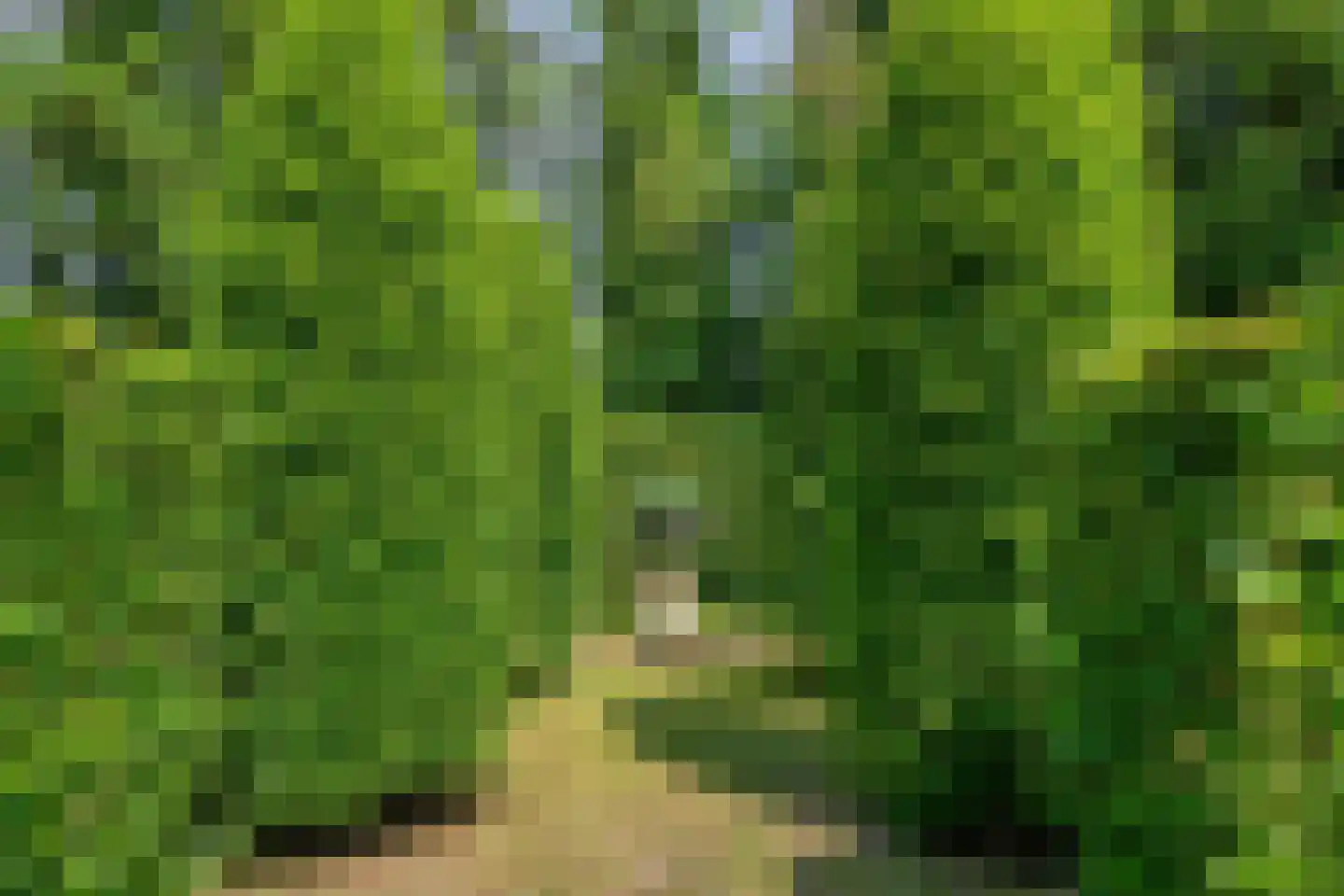 Mennistensteeg 6 Dalfsen thumbnail 72