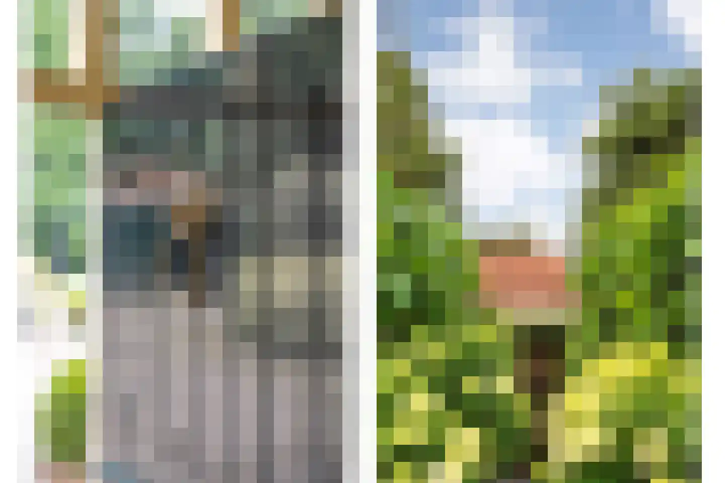Mennistensteeg 6 Dalfsen thumbnail 79