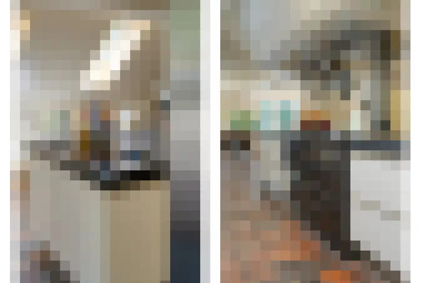 Mennistensteeg 6 Dalfsen thumbnail 8