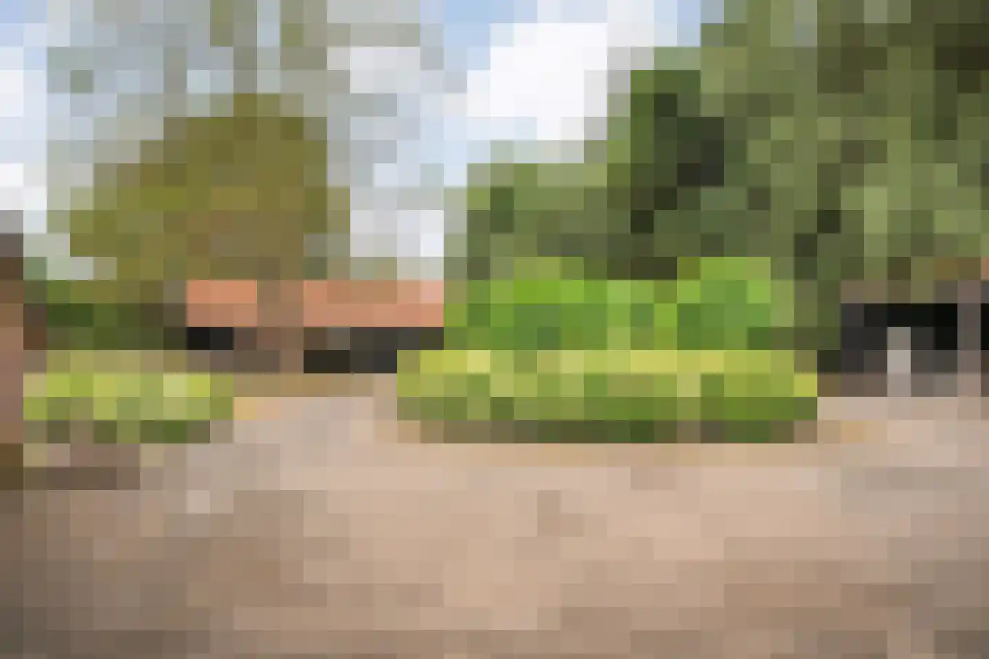 Mennistensteeg 6 Dalfsen thumbnail 81