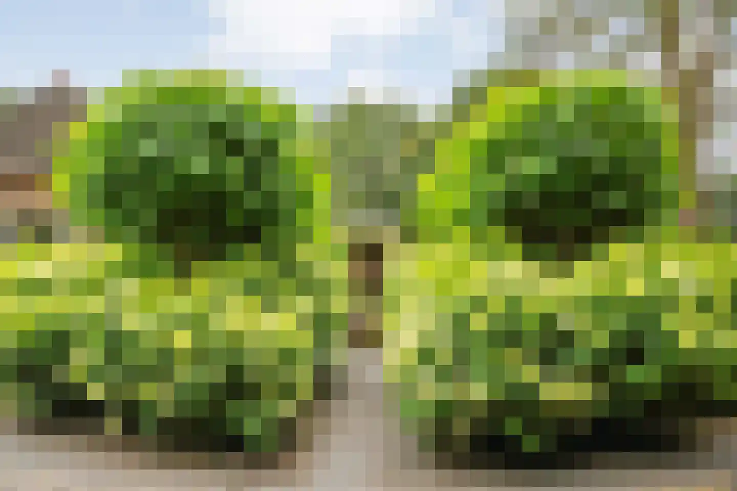 Mennistensteeg 6 Dalfsen thumbnail 82