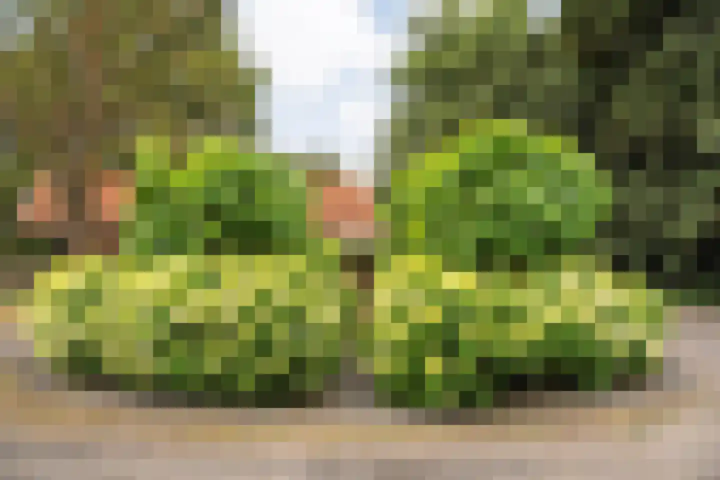 Mennistensteeg 6 Dalfsen thumbnail 83