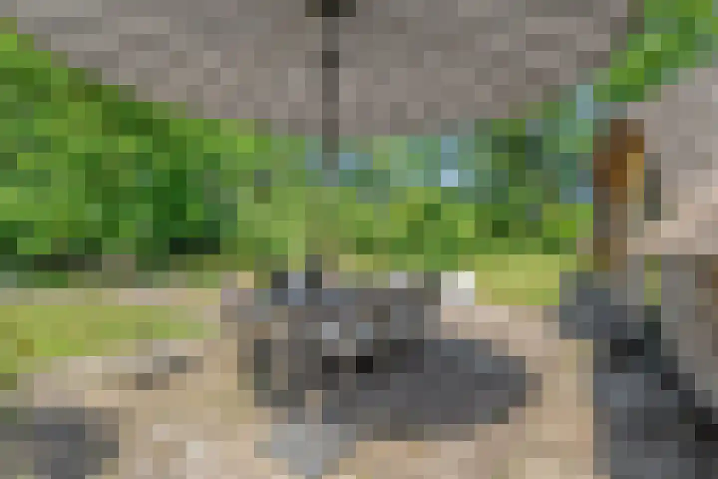 Mennistensteeg 6 Dalfsen thumbnail 84