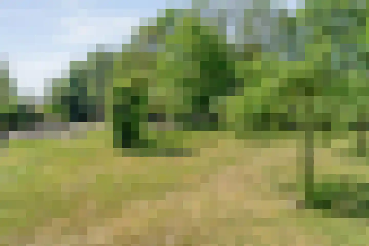 Mennistensteeg 6 Dalfsen thumbnail 85