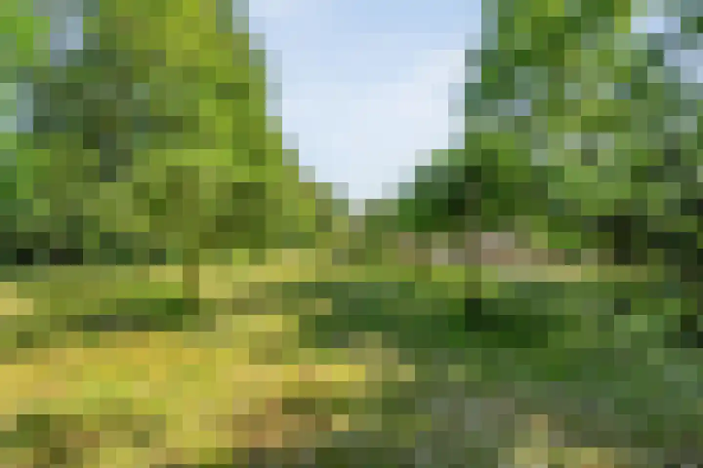 Mennistensteeg 6 Dalfsen thumbnail 86