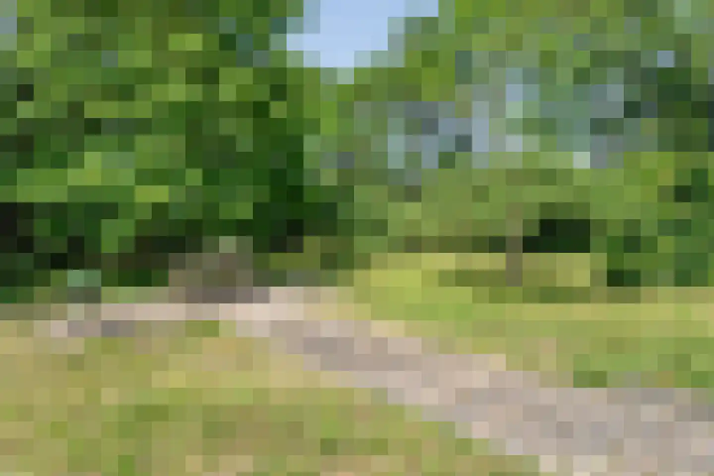 Mennistensteeg 6 Dalfsen thumbnail 87