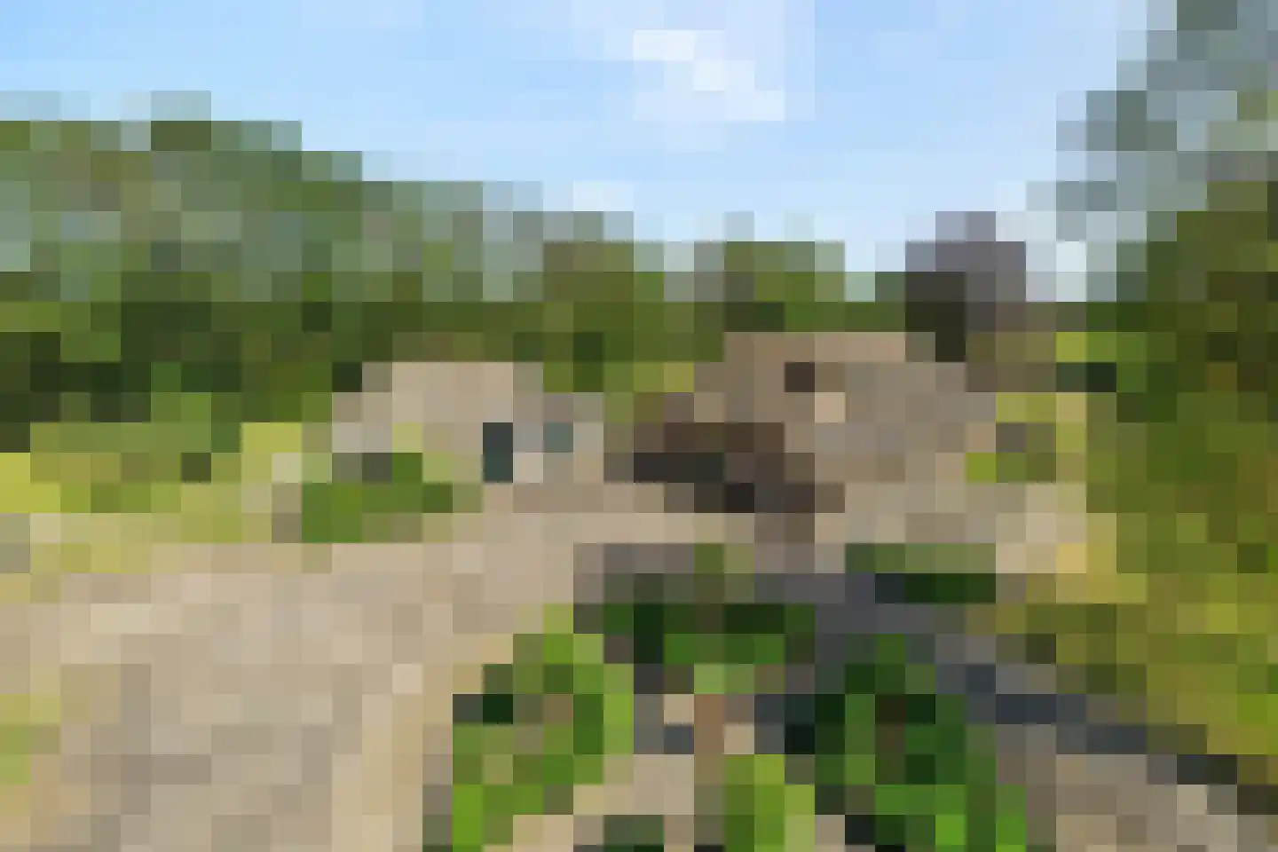 Mennistensteeg 6 Dalfsen thumbnail 88