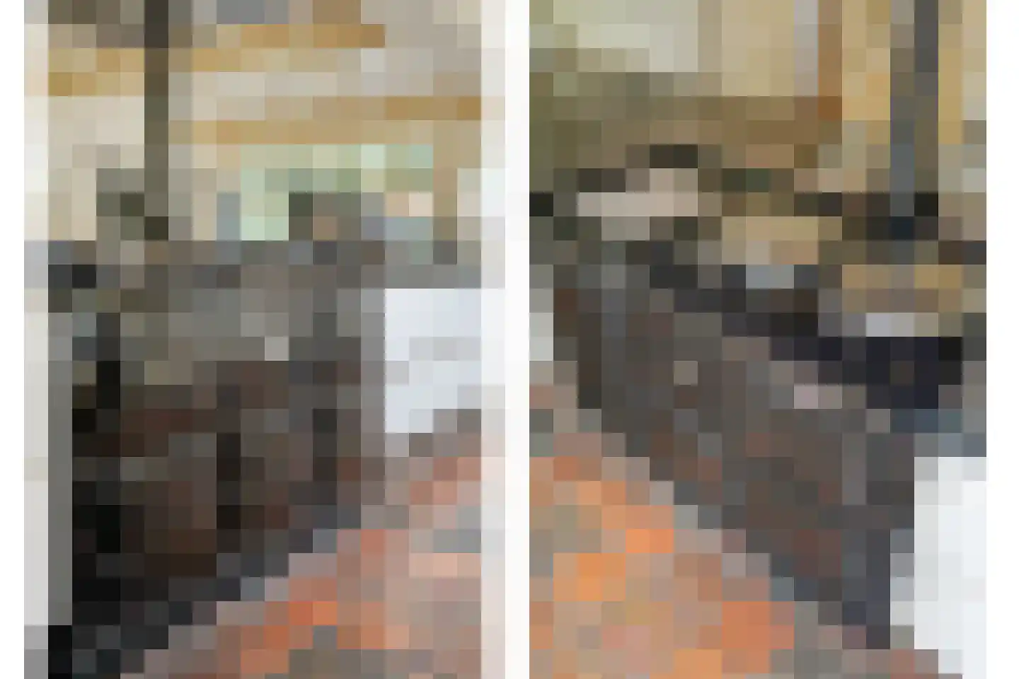 Mennistensteeg 6 Dalfsen thumbnail 9
