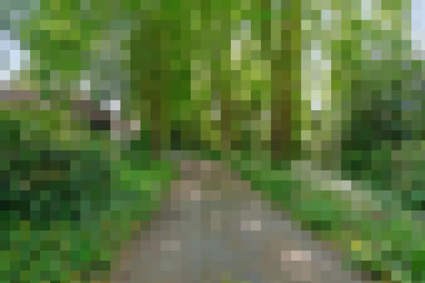 Mennistensteeg 6 Dalfsen thumbnail 90