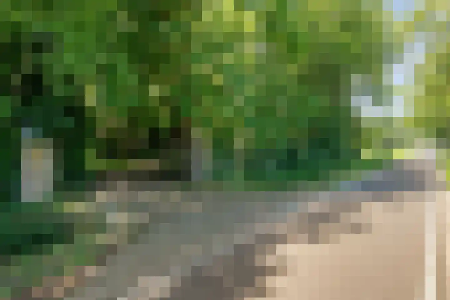 Mennistensteeg 6 Dalfsen thumbnail 91
