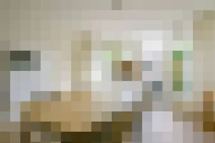 Menno Poldervaartstraat 17 Schagen thumbnail 13