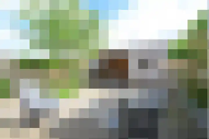 Menno Poldervaartstraat 17 Schagen thumbnail 15