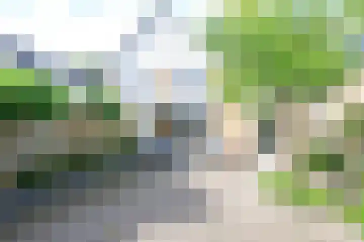Menno Poldervaartstraat 17 Schagen thumbnail 19