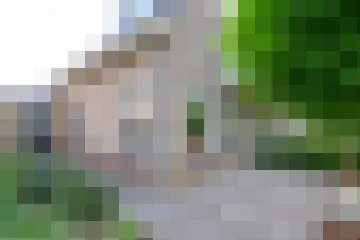 Menno Poldervaartstraat 17 Schagen thumbnail 4