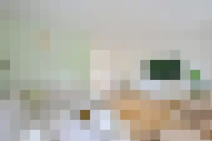 Menno Poldervaartstraat 17 Schagen thumbnail 9