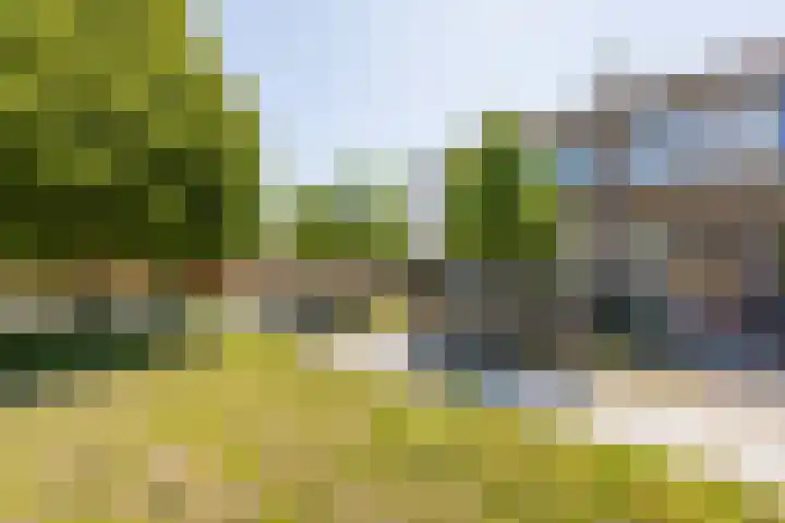 Menno Simonsstraat 16 Witmarsum thumbnail 5