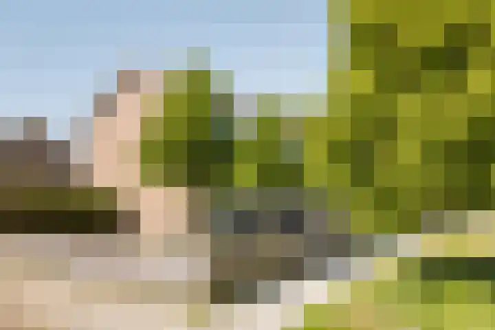 Menno Simonsstraat 16 Witmarsum thumbnail 6