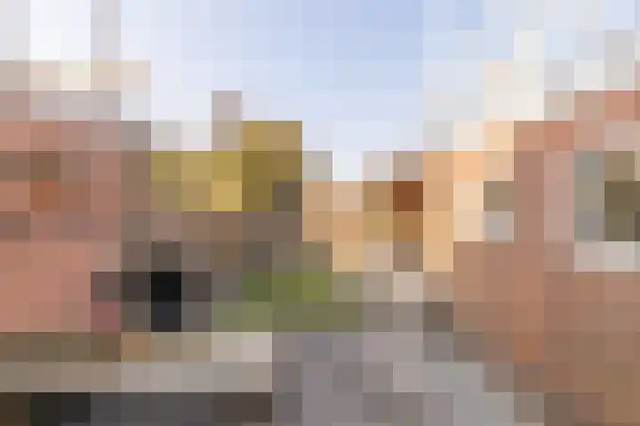 Menno Simonszstraat 16 Balk thumbnail 10