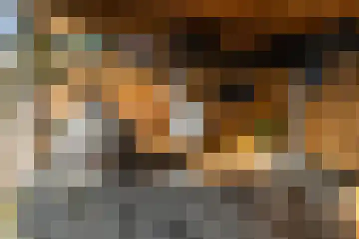 Menno Simonszstraat 16 Balk thumbnail 11