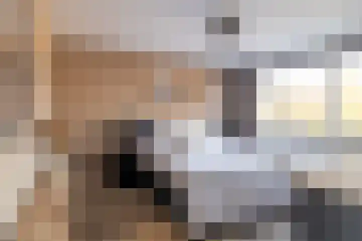 Menno Simonszstraat 16 Balk thumbnail 13