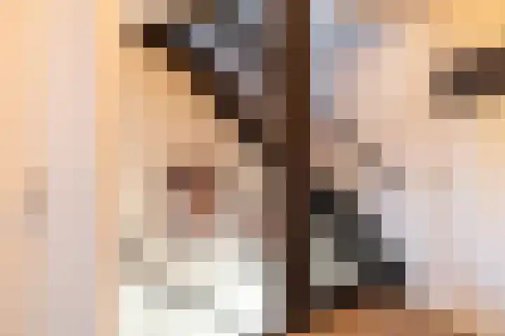 Menno Simonszstraat 16 Balk thumbnail 17