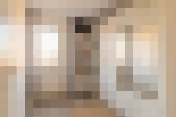 Menno Simonszstraat 16 Balk thumbnail 18
