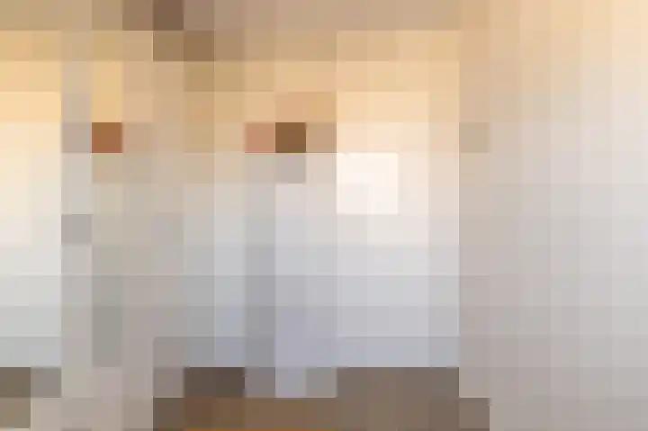Menno Simonszstraat 16 Balk thumbnail 19