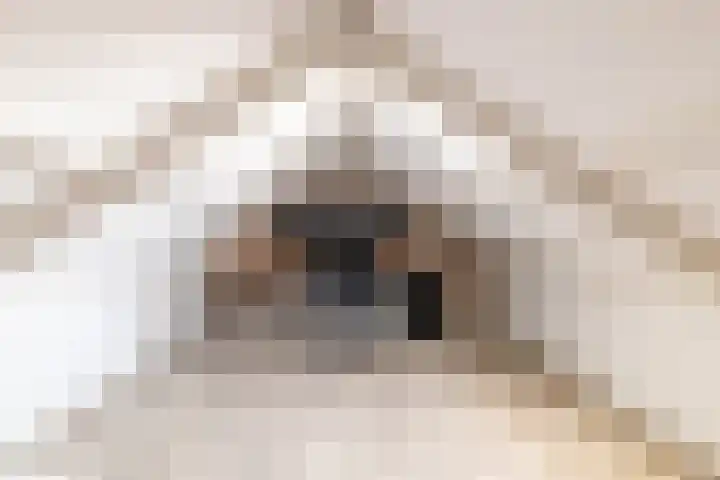 Menno Simonszstraat 16 Balk thumbnail 20