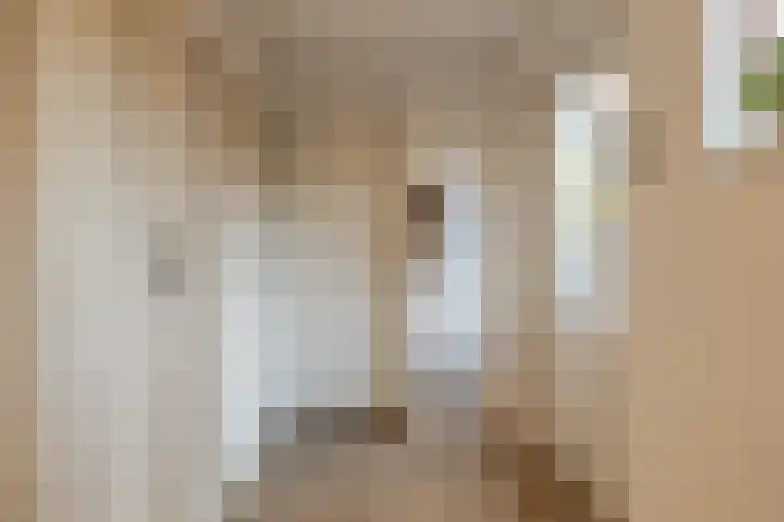 Menno Simonszstraat 16 Balk thumbnail 26