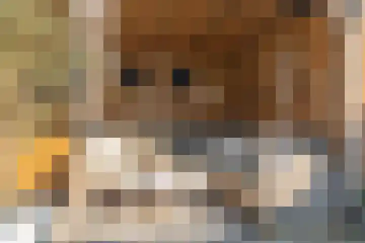 Menno Simonszstraat 16 Balk thumbnail 8