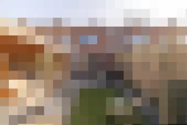 Menno Simonszstraat 16 Balk thumbnail 9
