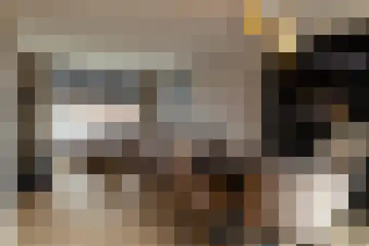 Menno Simonszstraat 32 Balk thumbnail 10