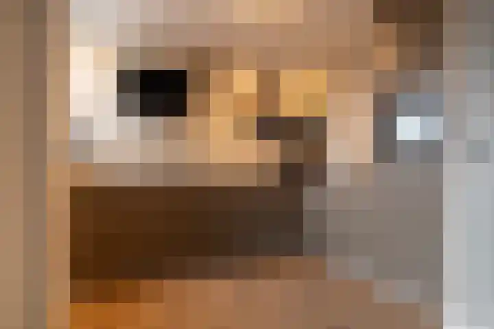 Menno Simonszstraat 32 Balk thumbnail 11