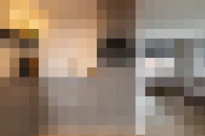 Menno Simonszstraat 32 Balk thumbnail 12