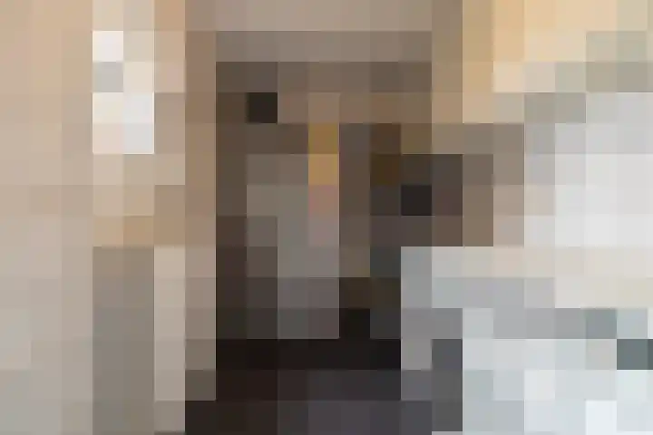 Menno Simonszstraat 32 Balk thumbnail 13