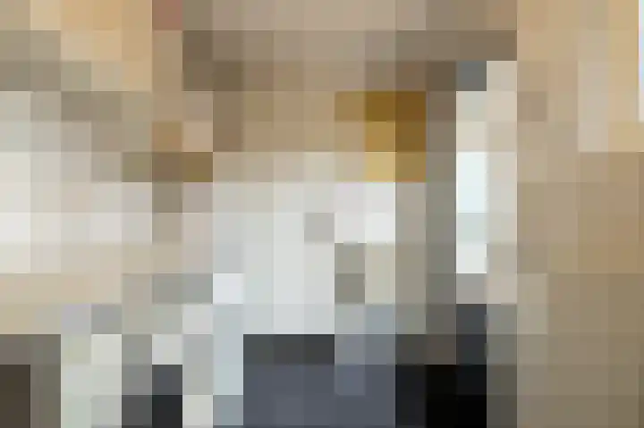 Menno Simonszstraat 32 Balk thumbnail 14