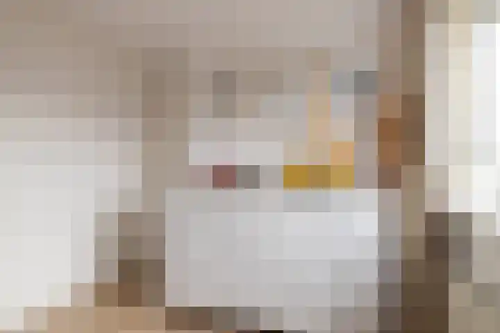 Menno Simonszstraat 32 Balk thumbnail 16