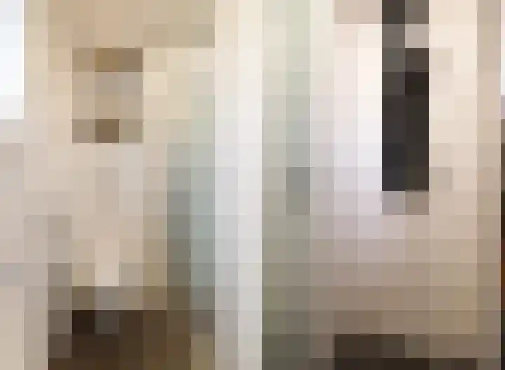Menno Simonszstraat 32 Balk thumbnail 18