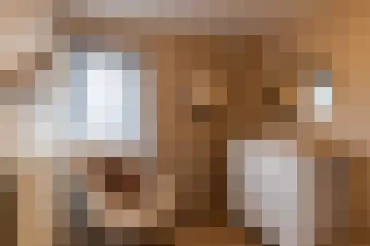 Menno Simonszstraat 32 Balk thumbnail 19