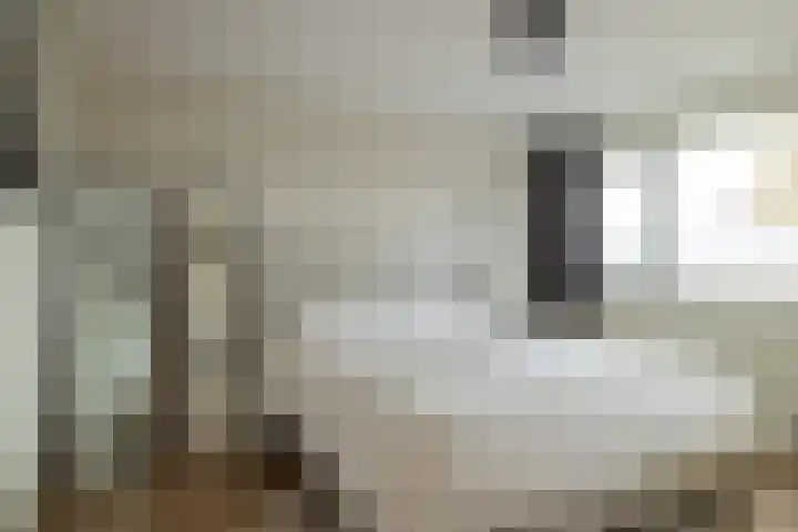 Menno Simonszstraat 32 Balk thumbnail 22