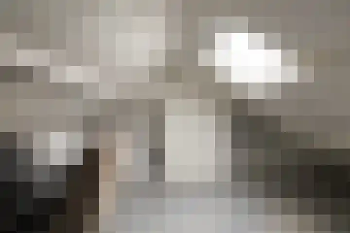 Menno Simonszstraat 32 Balk thumbnail 26