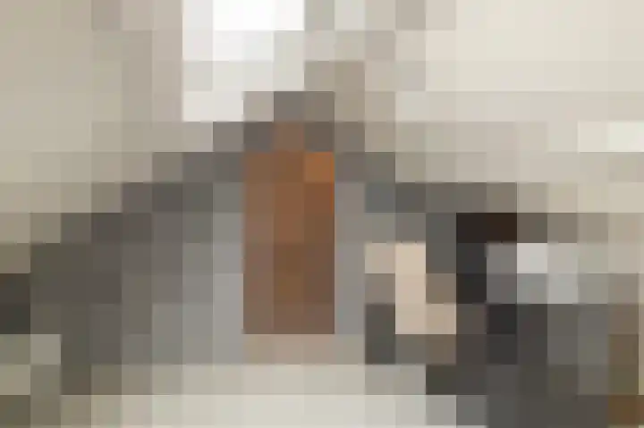 Menno Simonszstraat 32 Balk thumbnail 27