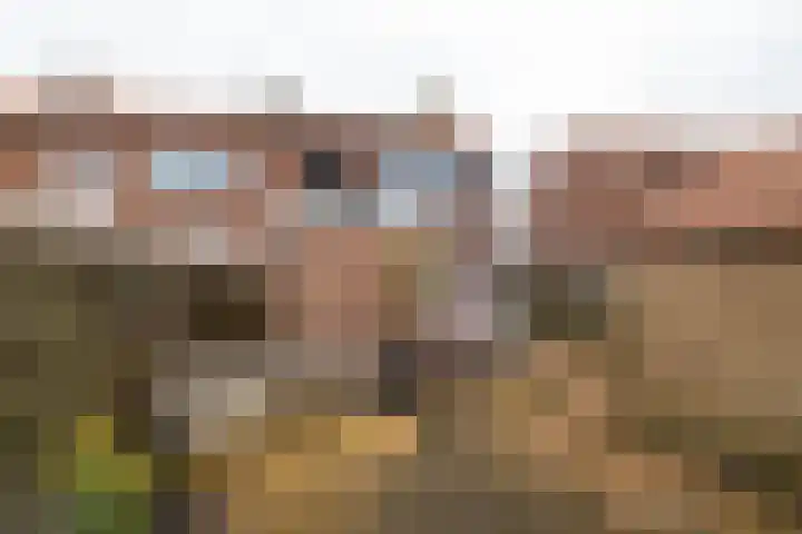 Menno Simonszstraat 32 Balk thumbnail 28