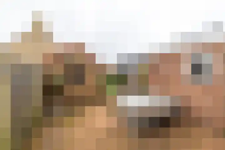 Menno Simonszstraat 32 Balk thumbnail 29