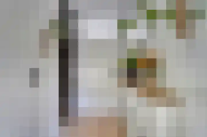Menno ter Braaklaan 10 Oegstgeest thumbnail 10